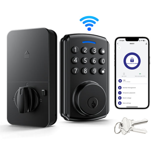 D01 Smart Knob Lock 4 Unlocking Ways